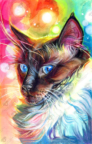 Tabby Cat diamond Art outlet club