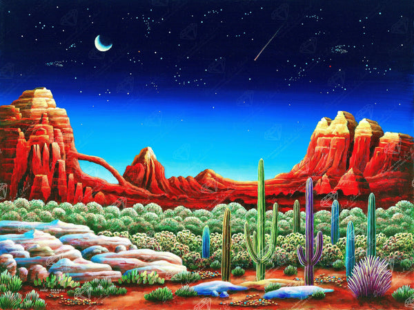 Desert Cactus & Bird Diamond Painting - Sunset Scenery Diamond Art