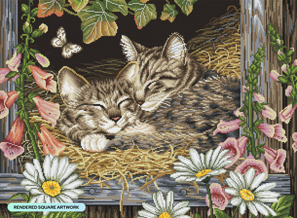 Diamond Art Club Cats Paintings