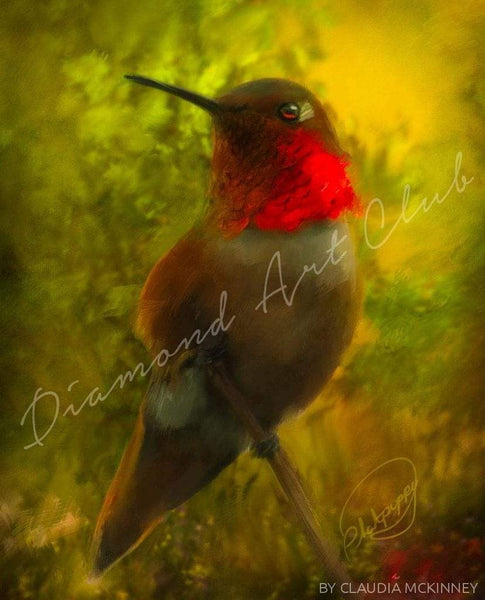 Songbird - A Season of Song - Hummingbird
