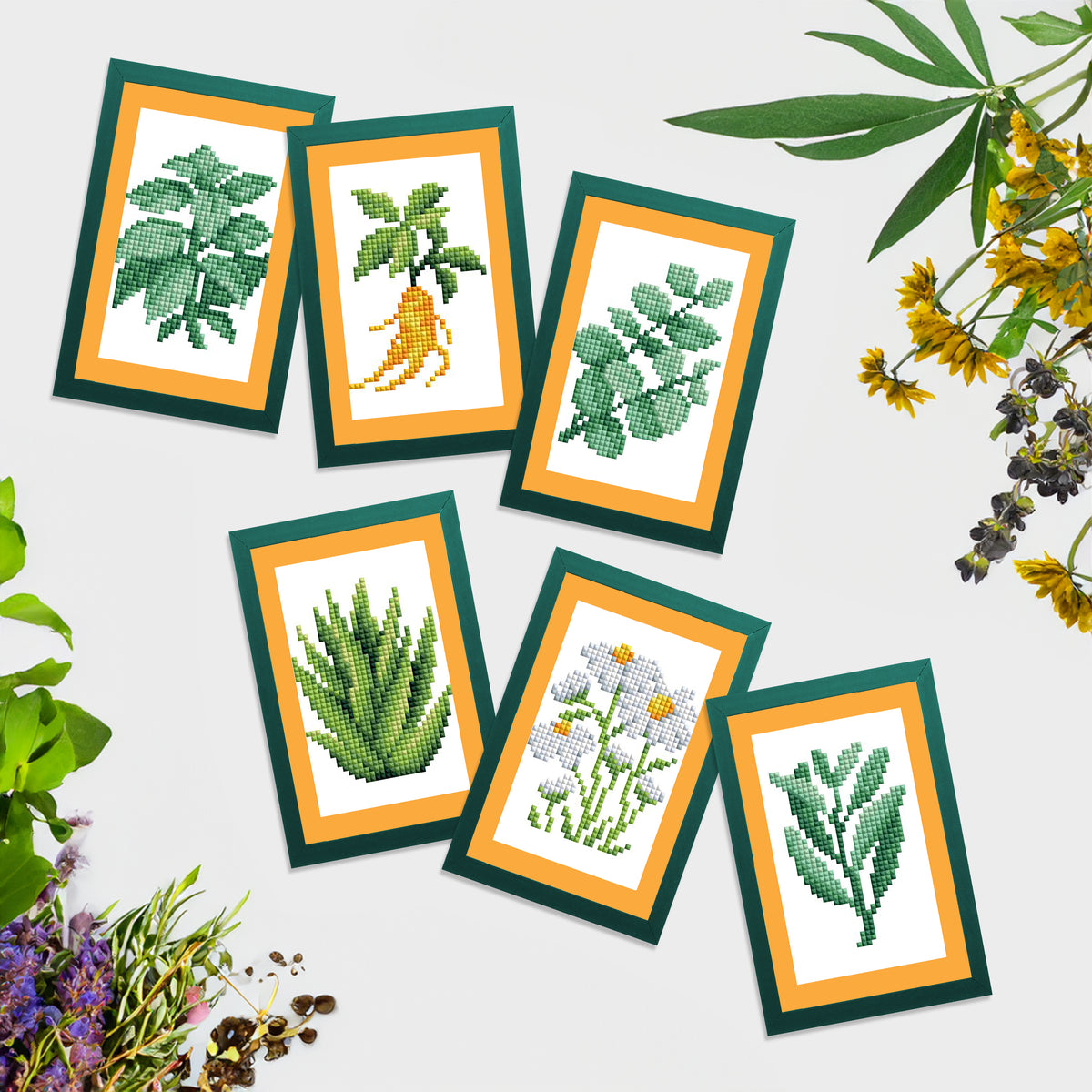 Mini Dazzles™ - Herbs & Medicinal Plants
