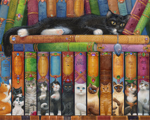 Cat Bookshelf