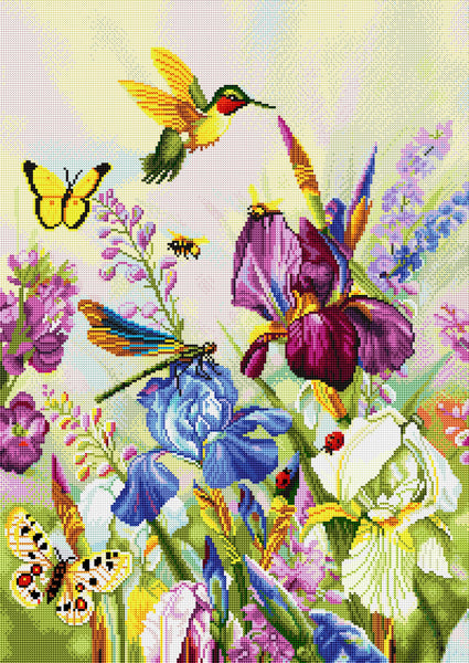 Dragonflies and Hummingbirds