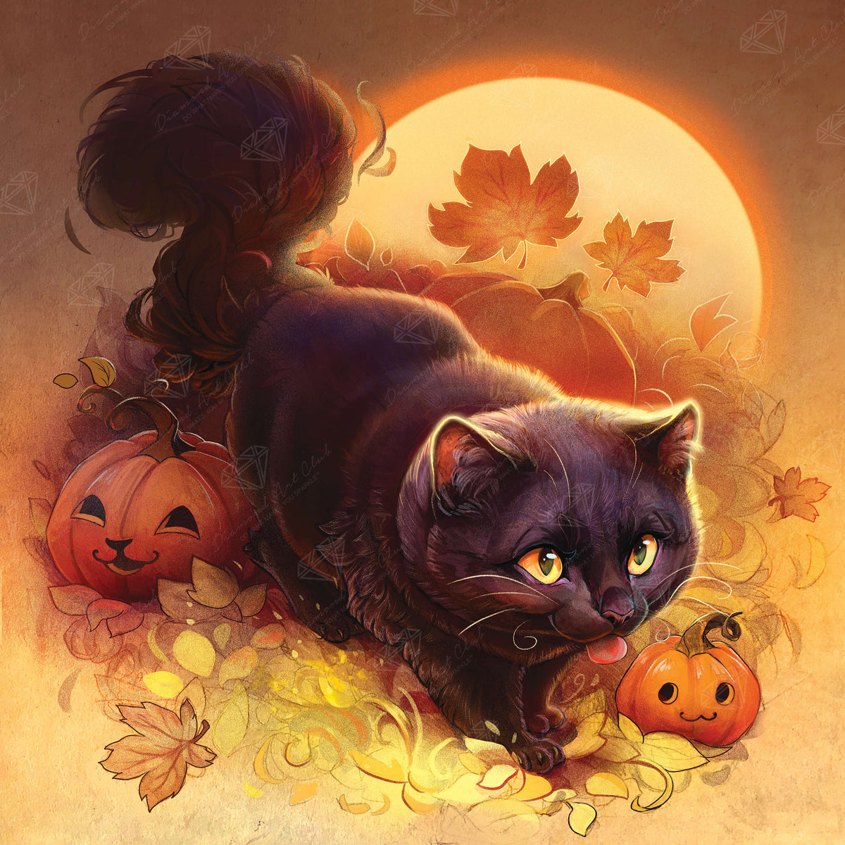 Halloween Cat