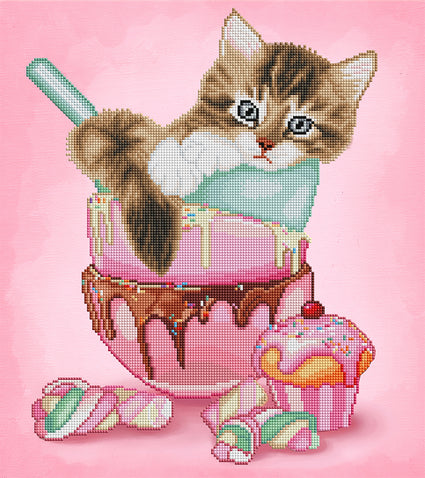 Cat & Cupcake