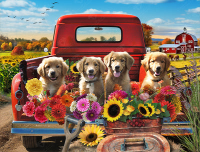 Puppies & Flowers