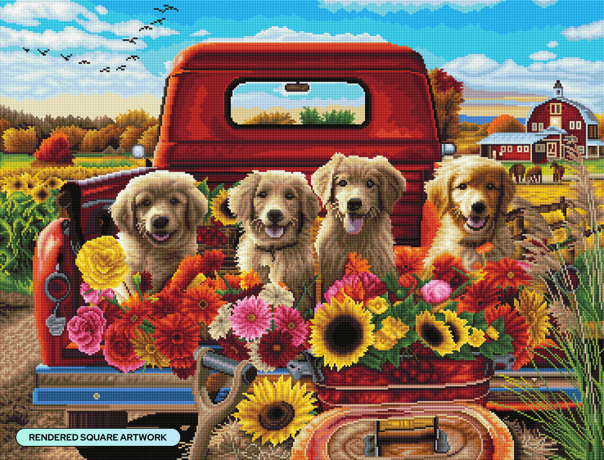 Puppies & Flowers