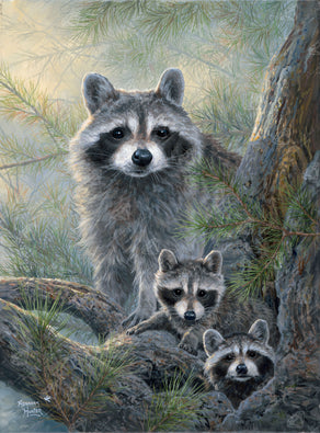 Raccoon Family Portrait