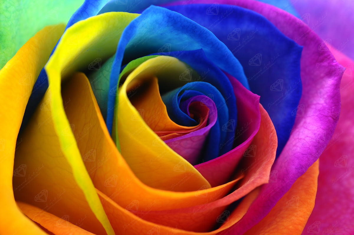 Rainbow Flower Petals