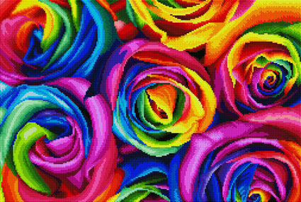 Rainbow Roses