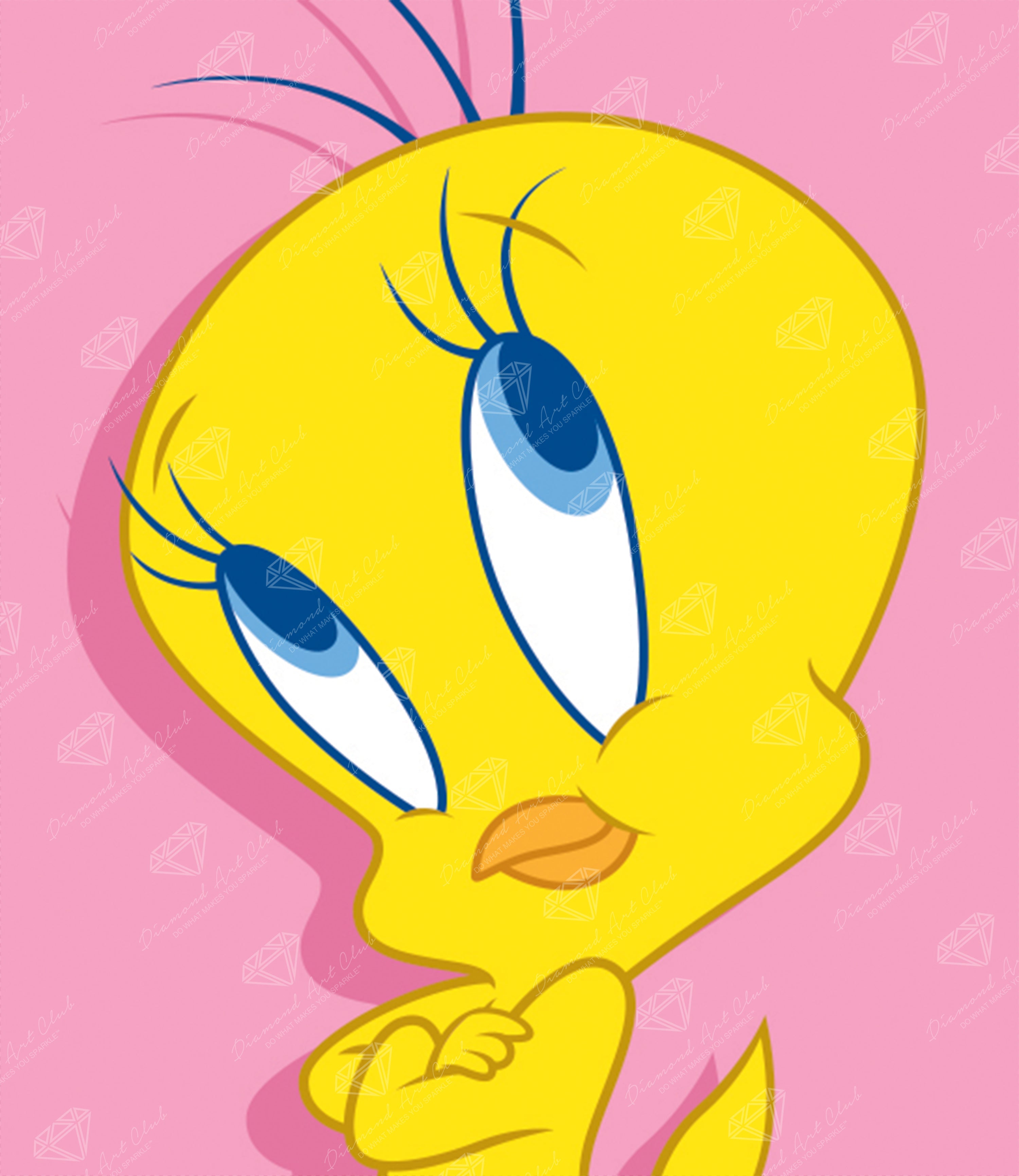 Tweety Bird™ – Diamond Art Club