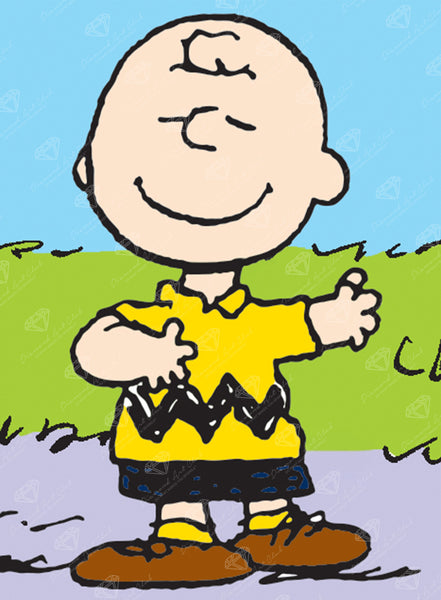 Charlie Brown Dancing – Diamond Art Club