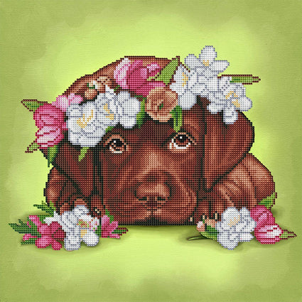 Diamond Painting Chocolate Labrador 16" x 16″ (41cm x 41cm) / Round with 28 Colors including 4 ABs / 8,982