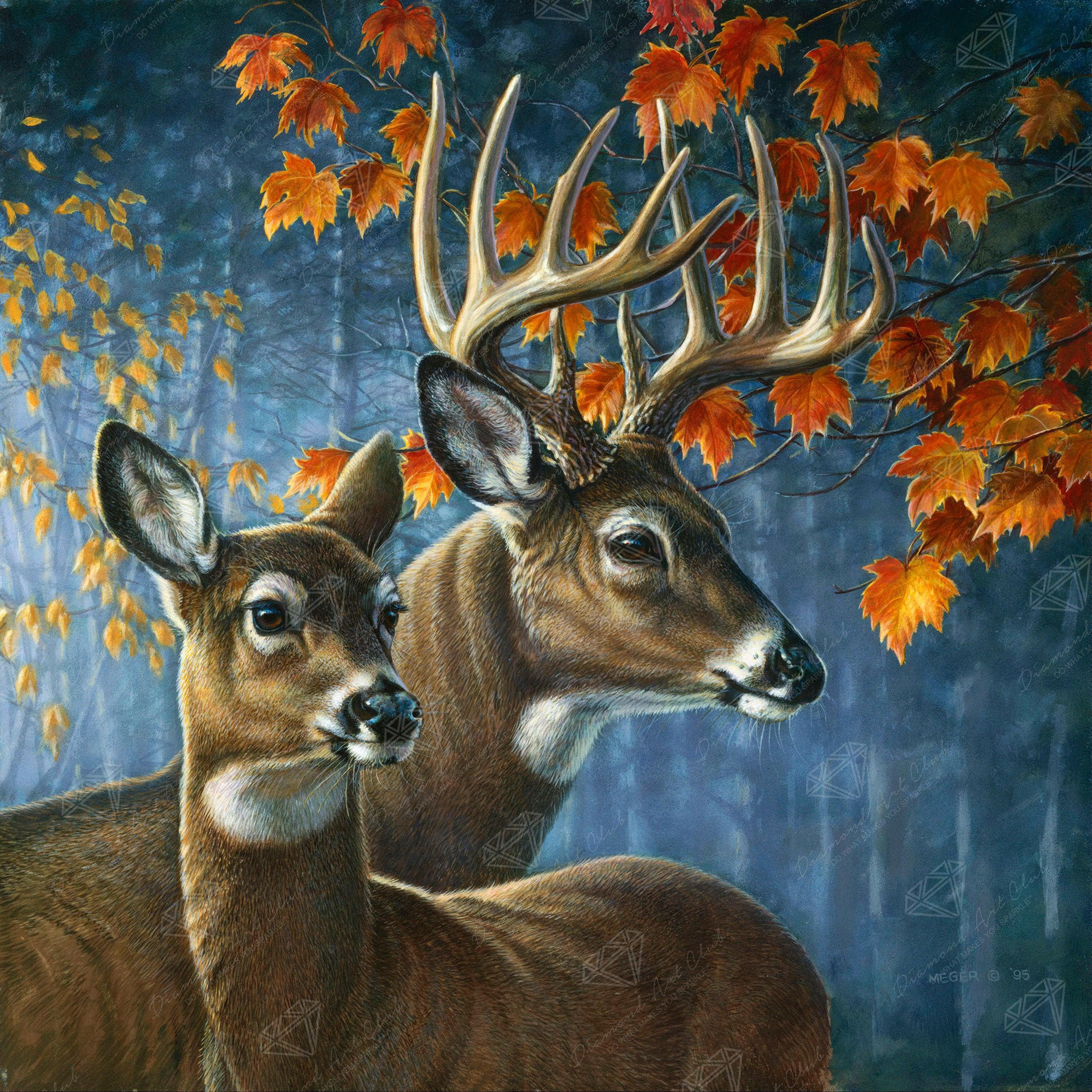 Deer Pair Diamond Art Club