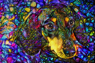 Diamond Painting Dixie the Stained Glass Dachshund 41.3" x 27.6" (104.8cm x 69.9cm) / Square with 61 Colors including 2 ABs and 4 Fairy Dust Diamonds / 118,301