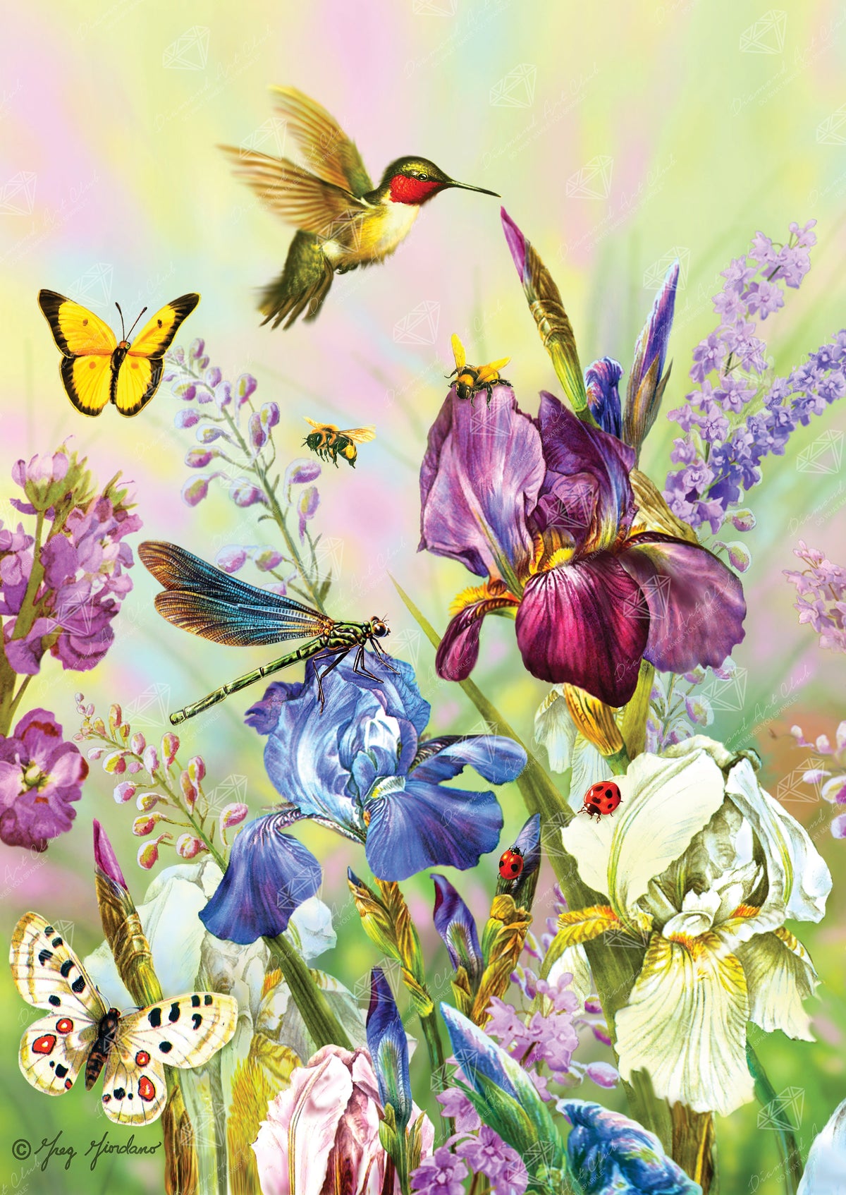 Diamond Painting Dragonflies and Hummingbirds 22" x 31" (56cm x 79cm) / Round with 59 Colors including 4 ABs / 55,919