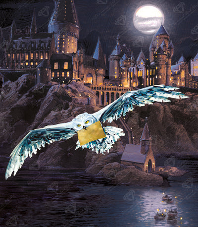 Diamond Painting Hogwarts™ and Hedwig™ 22" x 25″ (56cm x 64cm) / Round With 47 Colors Including 2 ABs / 45,372