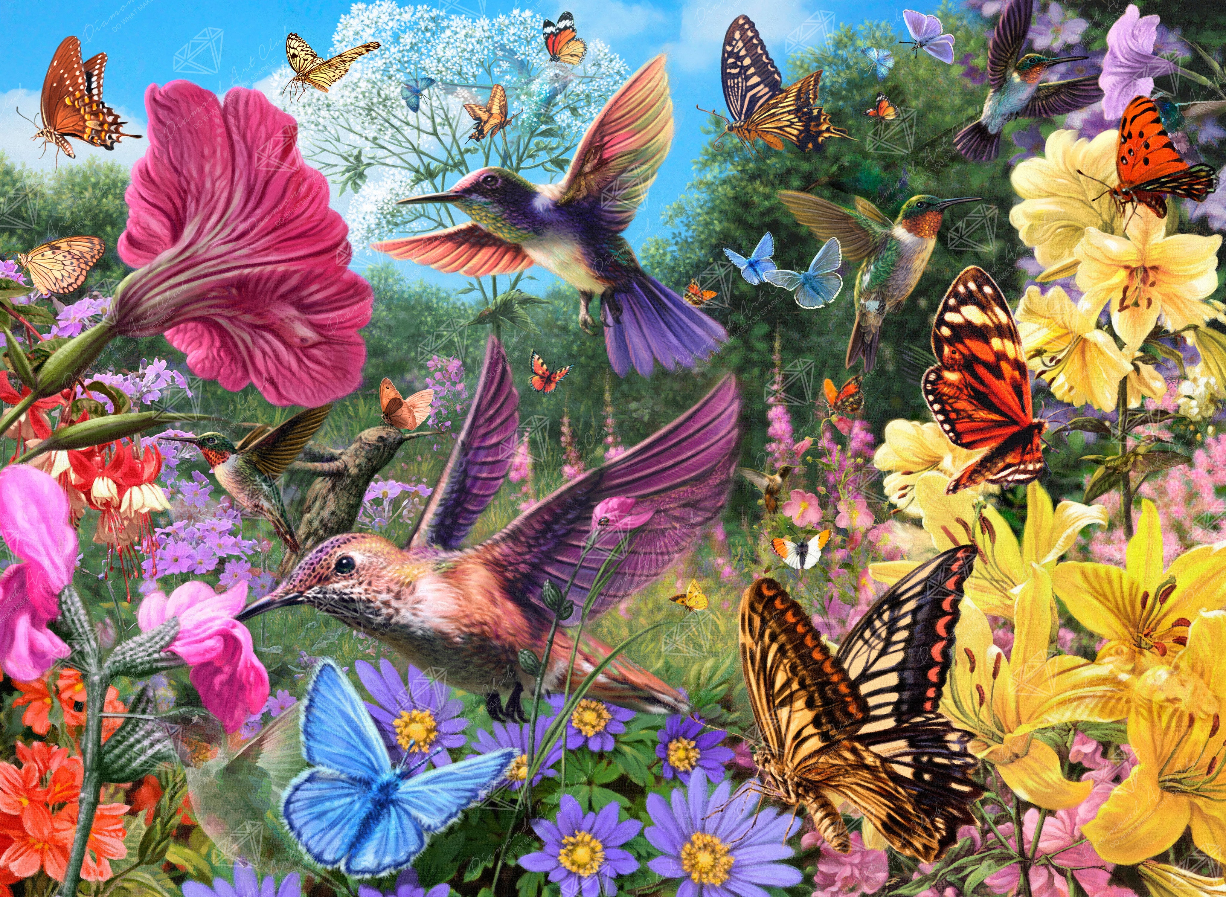 New DAC offers Hummingbird Garden Diamond Painting