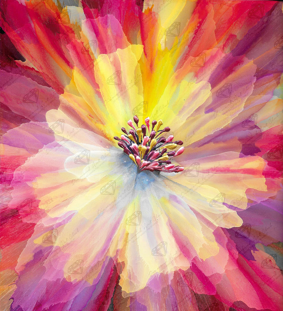 Close Up Purple Yellow Flower - Diamond Paintings 