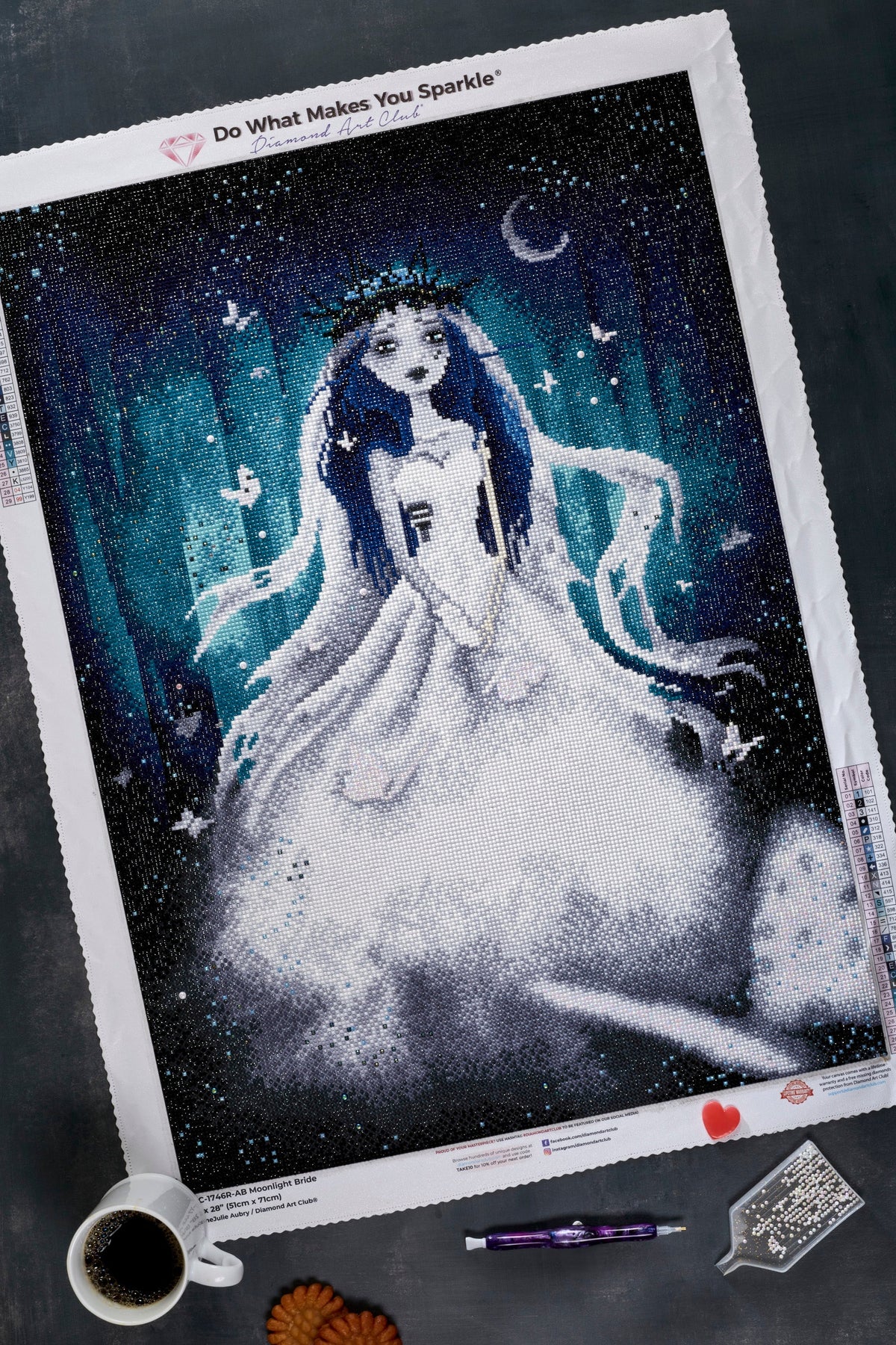 Diamond Painting Moonlight Bride 20" x 28" (51cm x 71cm) / Round with 29 Colors including 3 ABs, 1 Iridescent Diamonds and 2 Special Diamonds / 45,580