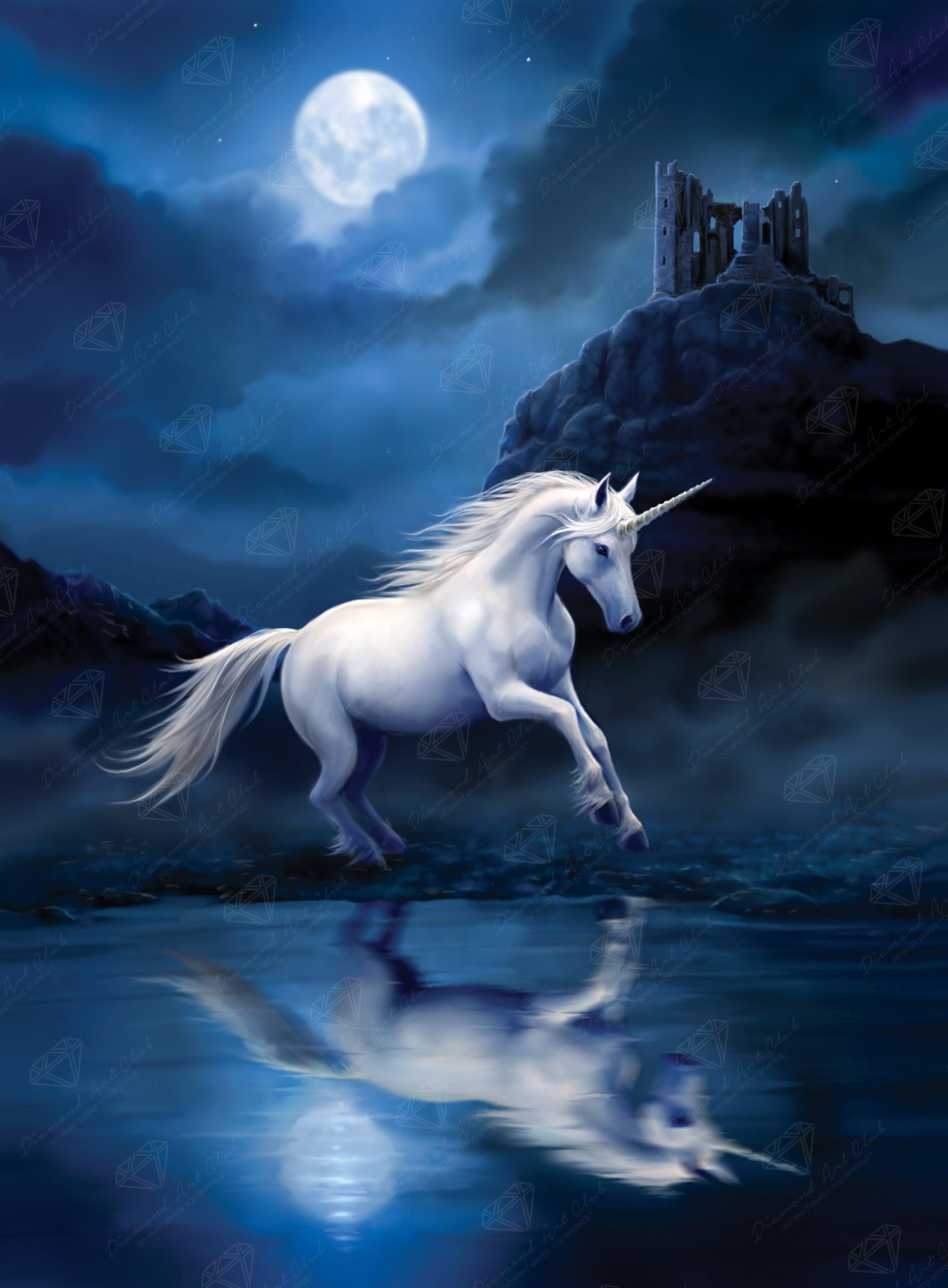 Moonlight Unicorn Diamond Art Club