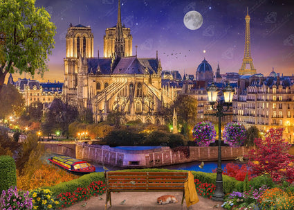 Diamond Painting Notre Dame Night 38.6" x 27.6″ (98cm x 70cm) / Square with 65 Colors including 4 ABs / 107,472