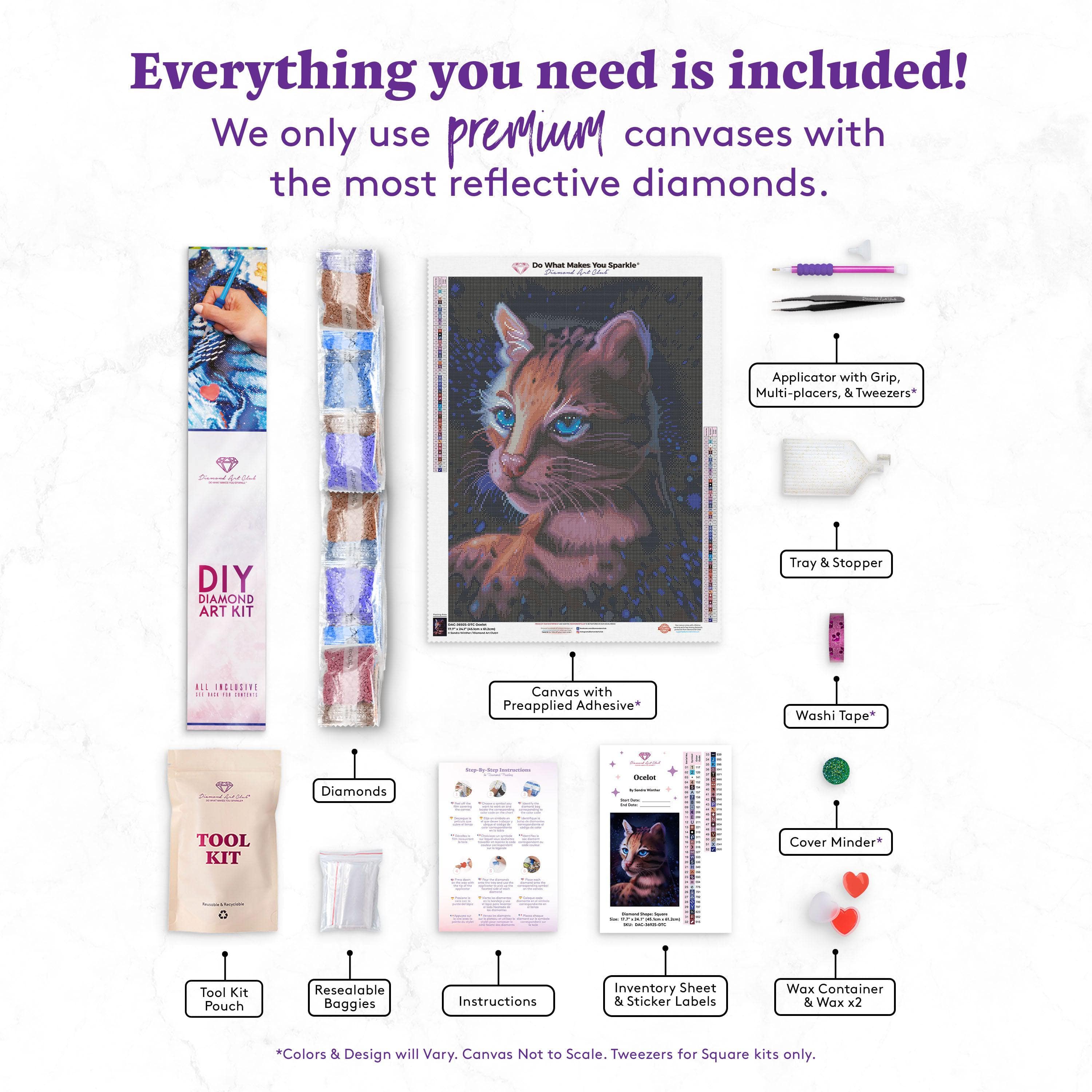 Diamond art club 2 store kits