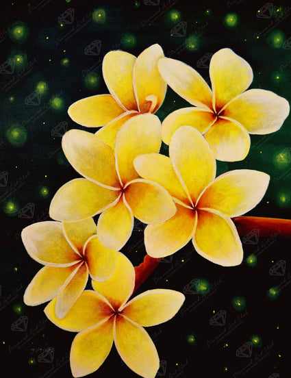 Diamond Painting Plumeria 13" x 17" (32.8cm x 42.6cm) / Round With 14 Colors Including 2 ABs and 1 Iridescent Diamonds / 17,784