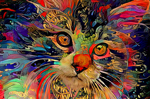 Psychedelic Maine Coon Cat – Diamond Art Club