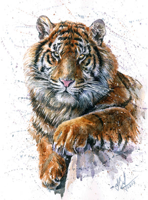 Diamond Painting Tiger Watercolor 21.4" x 28.8″ (54.4cm x 73.3cm) / Square With 36 Colors Including 1 AB / 62,856