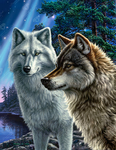 Diamond Painting Together Wolves 20" x 26" (50.7cm x 65.8cm) / Round with 44 Colors including 2 ABs and 1 Iridescent Diamonds and 1 Fairy Dust Diamonds / 42,535