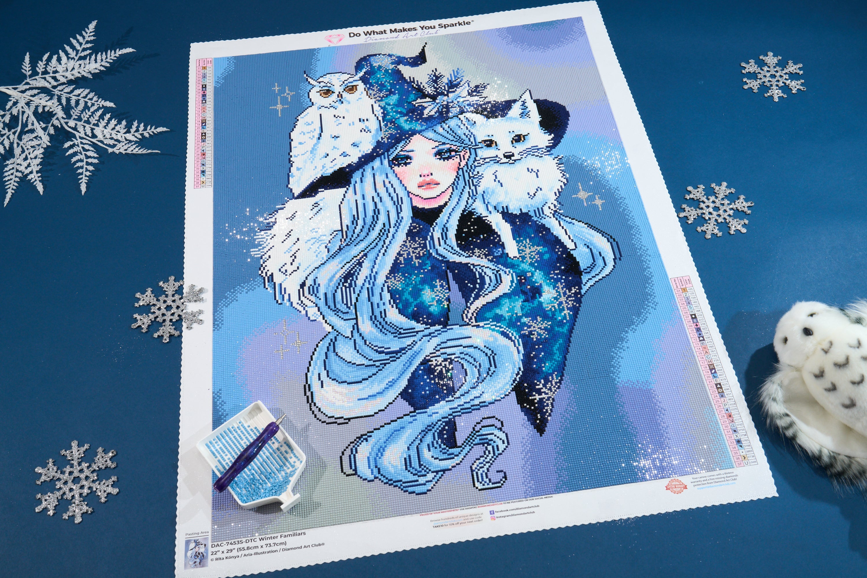 Diamond Art Club Mystery Kit newest Winter