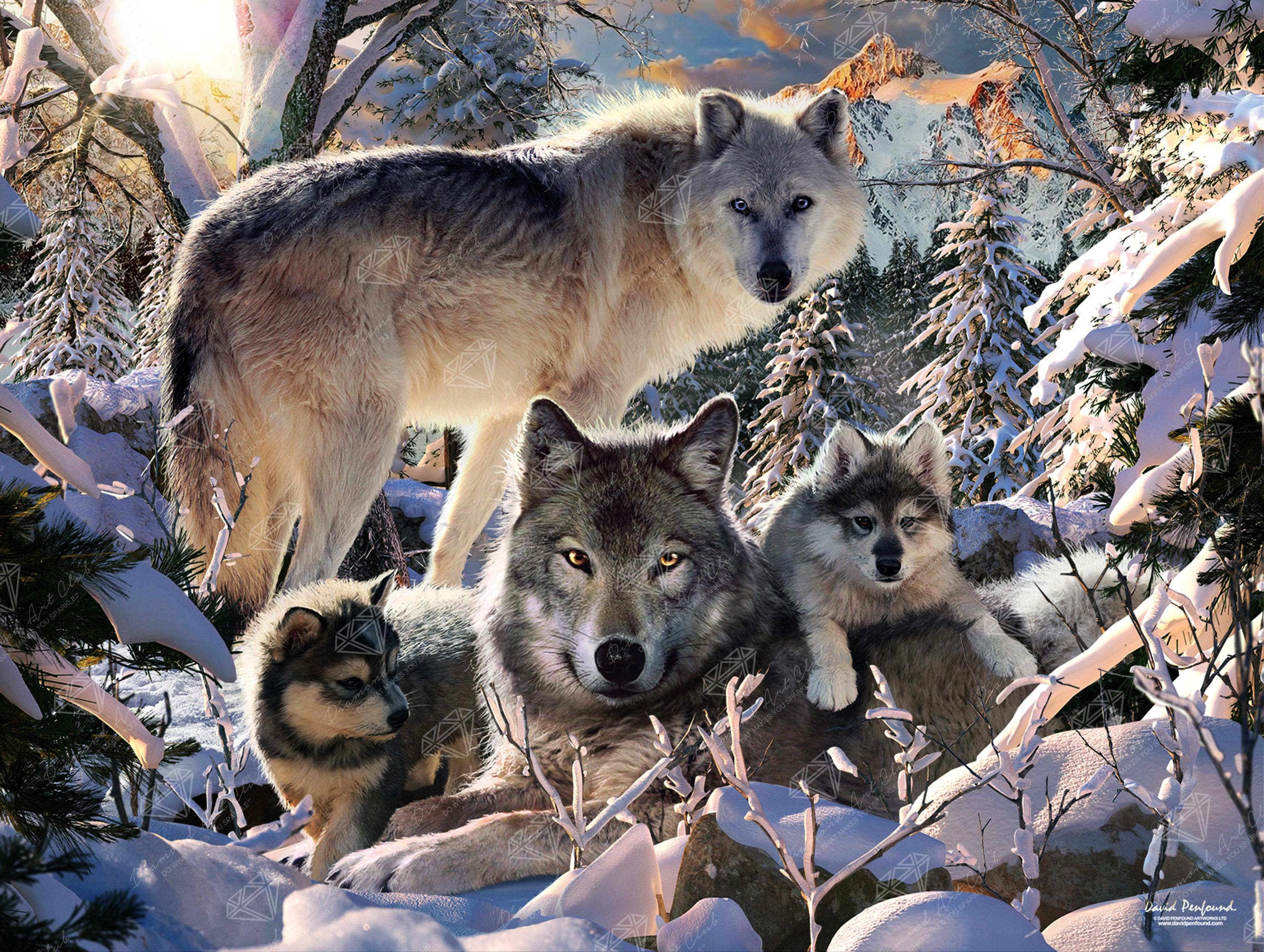 Diamond Art on sale Club Wolf Family