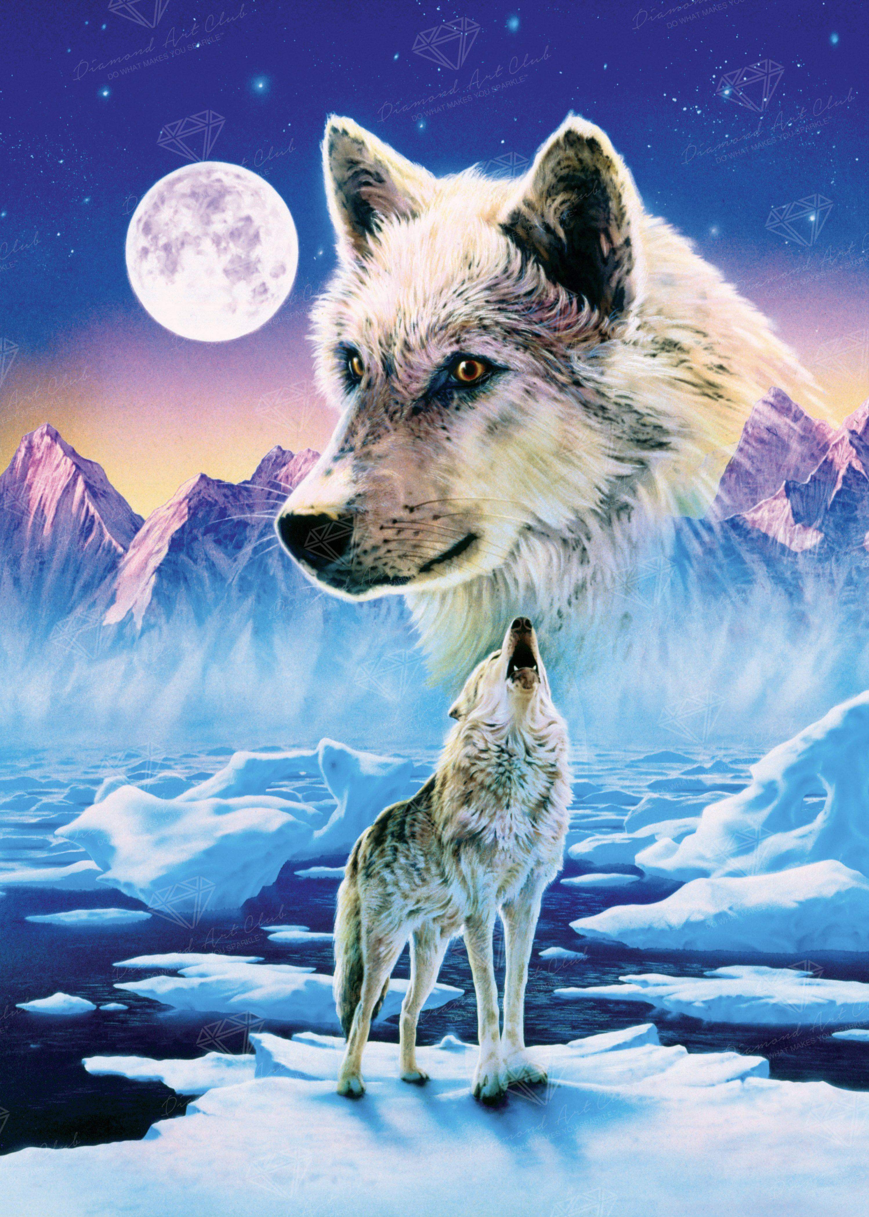 Free: Dog Coyote Arctic wolf Tattoo Drawing - wolf - nohat.cc