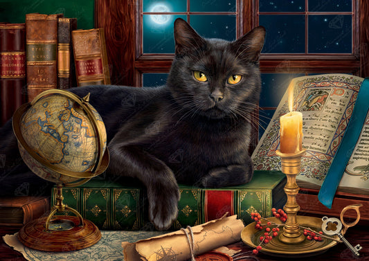 Diamond Painting Black Cat's Mysterious Night – Diamonds Wizard