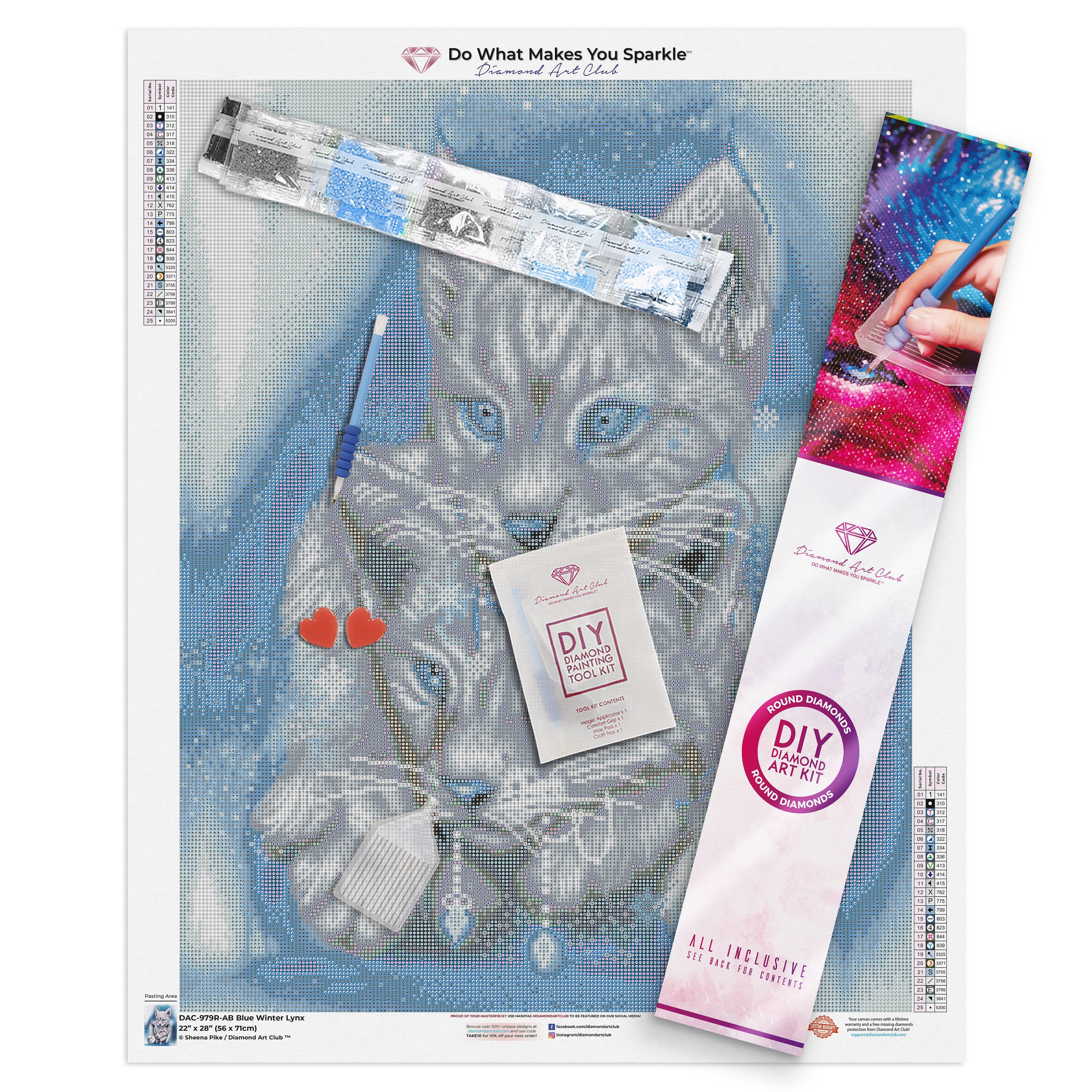 Diamond sale Art Club Mystery Kit Winter