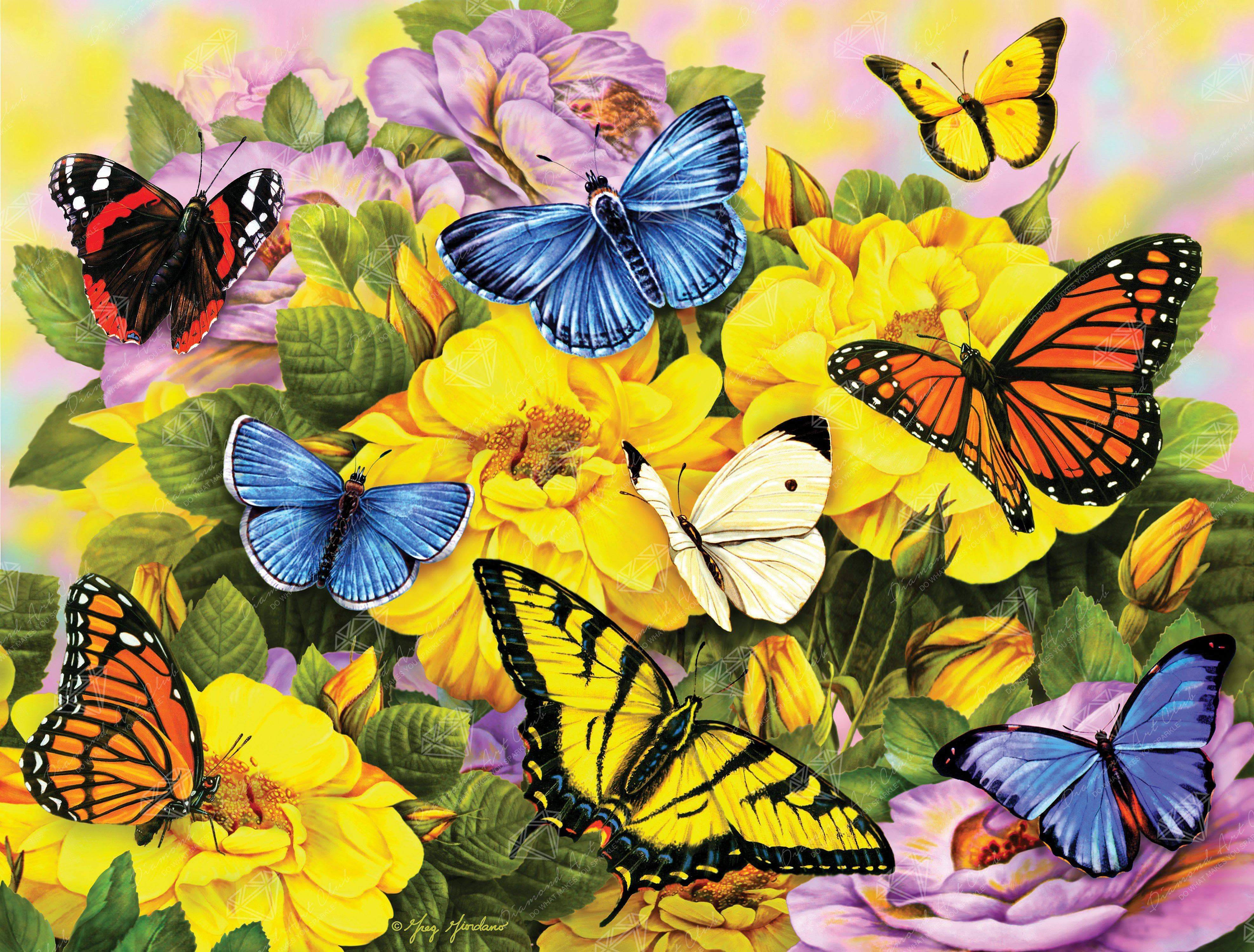 butterfly AH1698 5D Diamond Painting -  – Five
