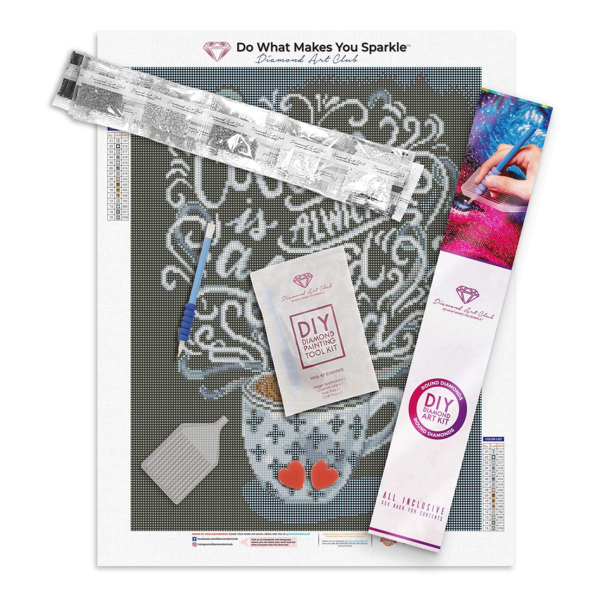 Diamond art club sale kits