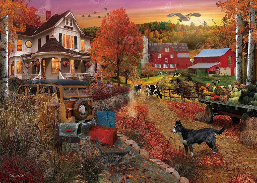 Diamond Art Club Farm Country diamond sold painting kit