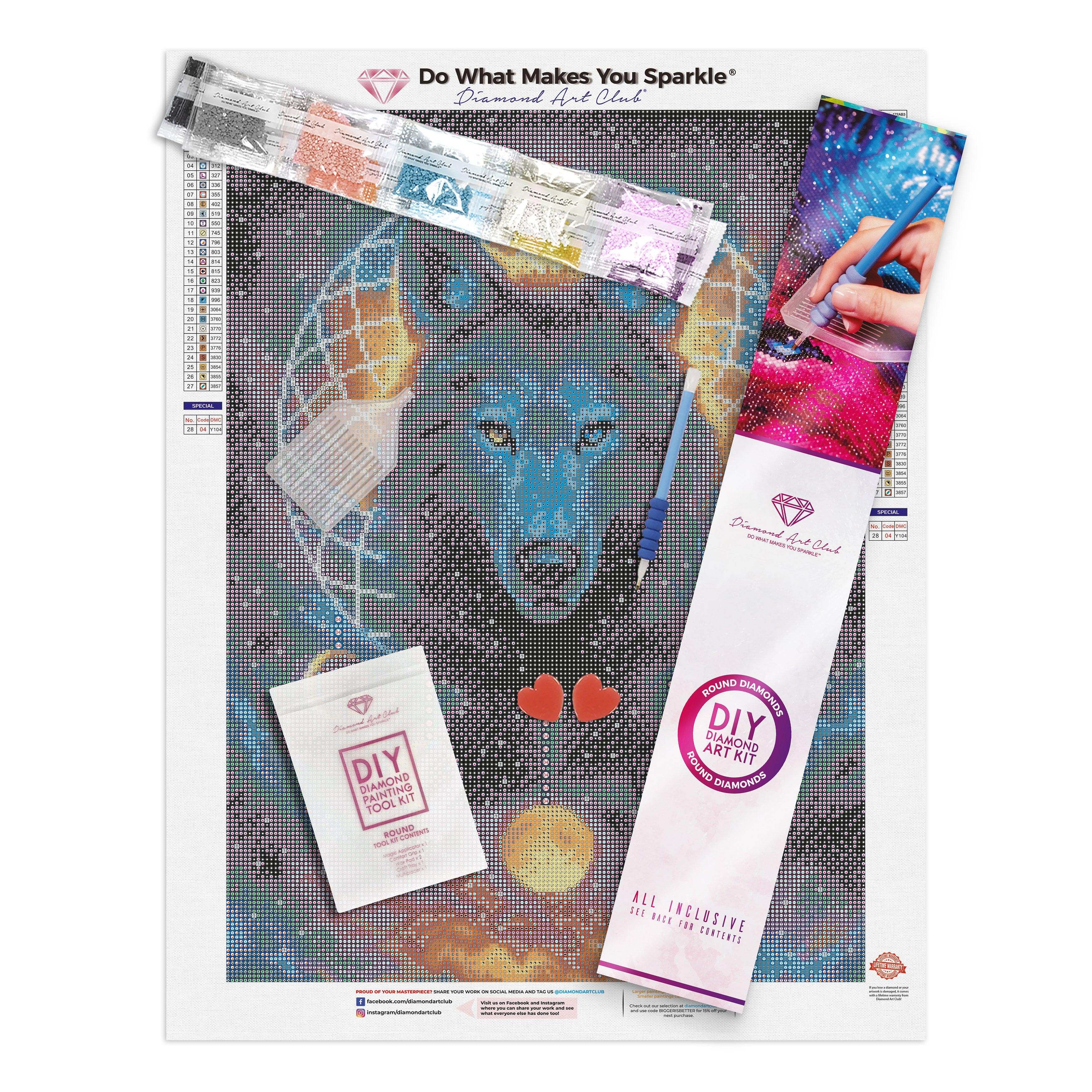 Dream Catcher Wolf Diamond Art Club Kit - Arts & Crafts