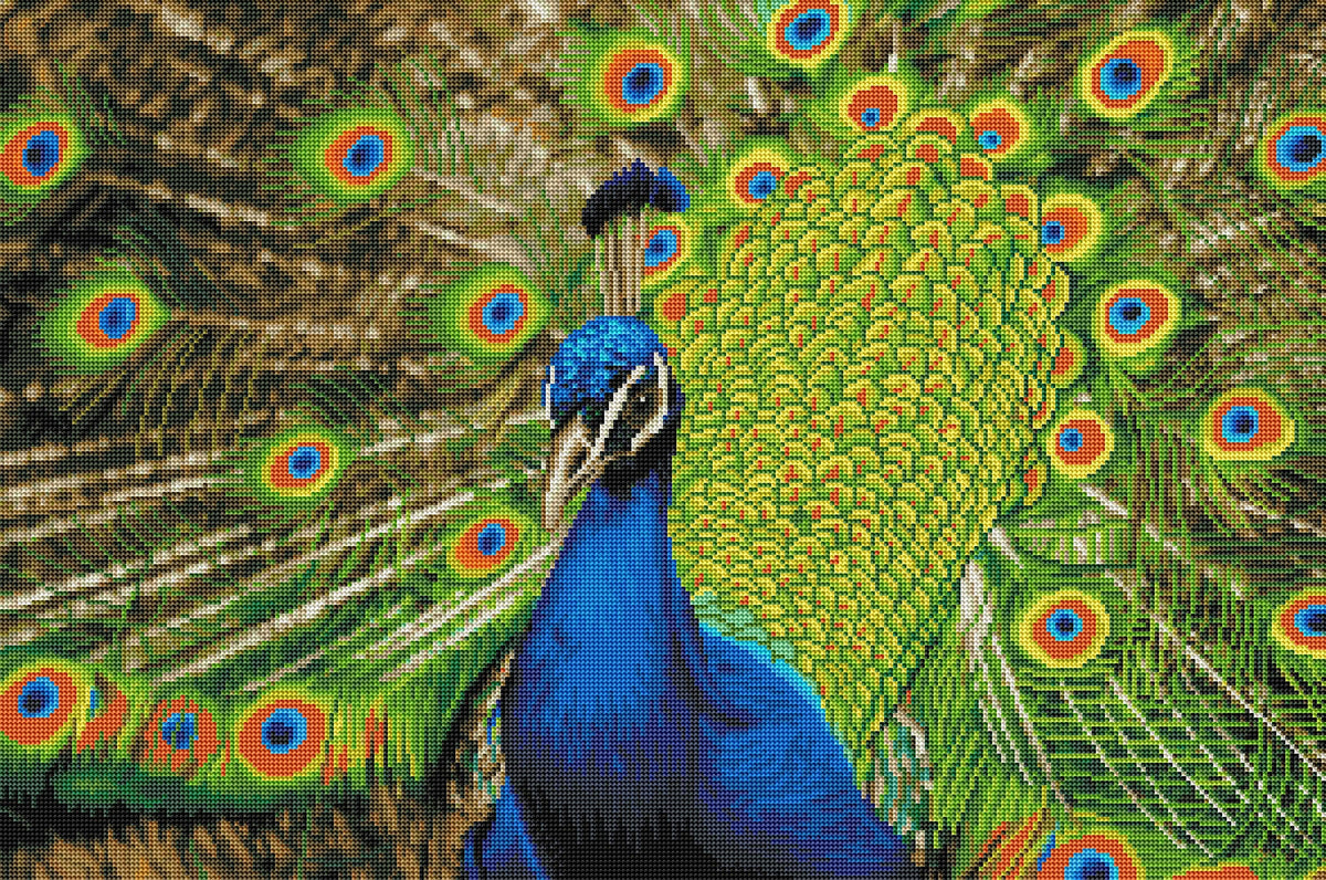 Diamond Painting Indian Peafowl 21.7" x 32.7″ (55cm x 83cm) / Round With 37 Colors Including 2 AB / 57,332