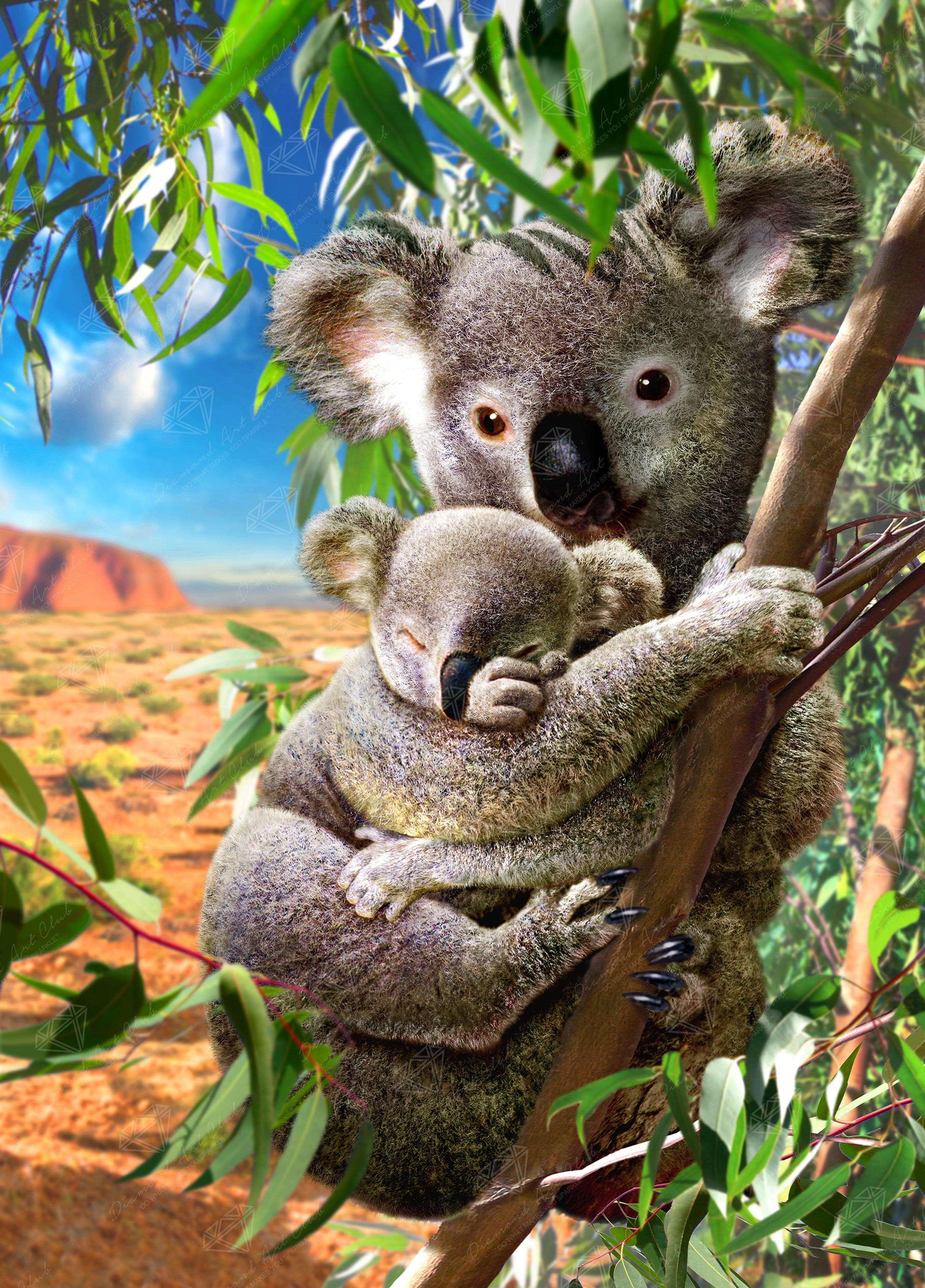 Koala Bear And Baby - 5D Diamond Painting 