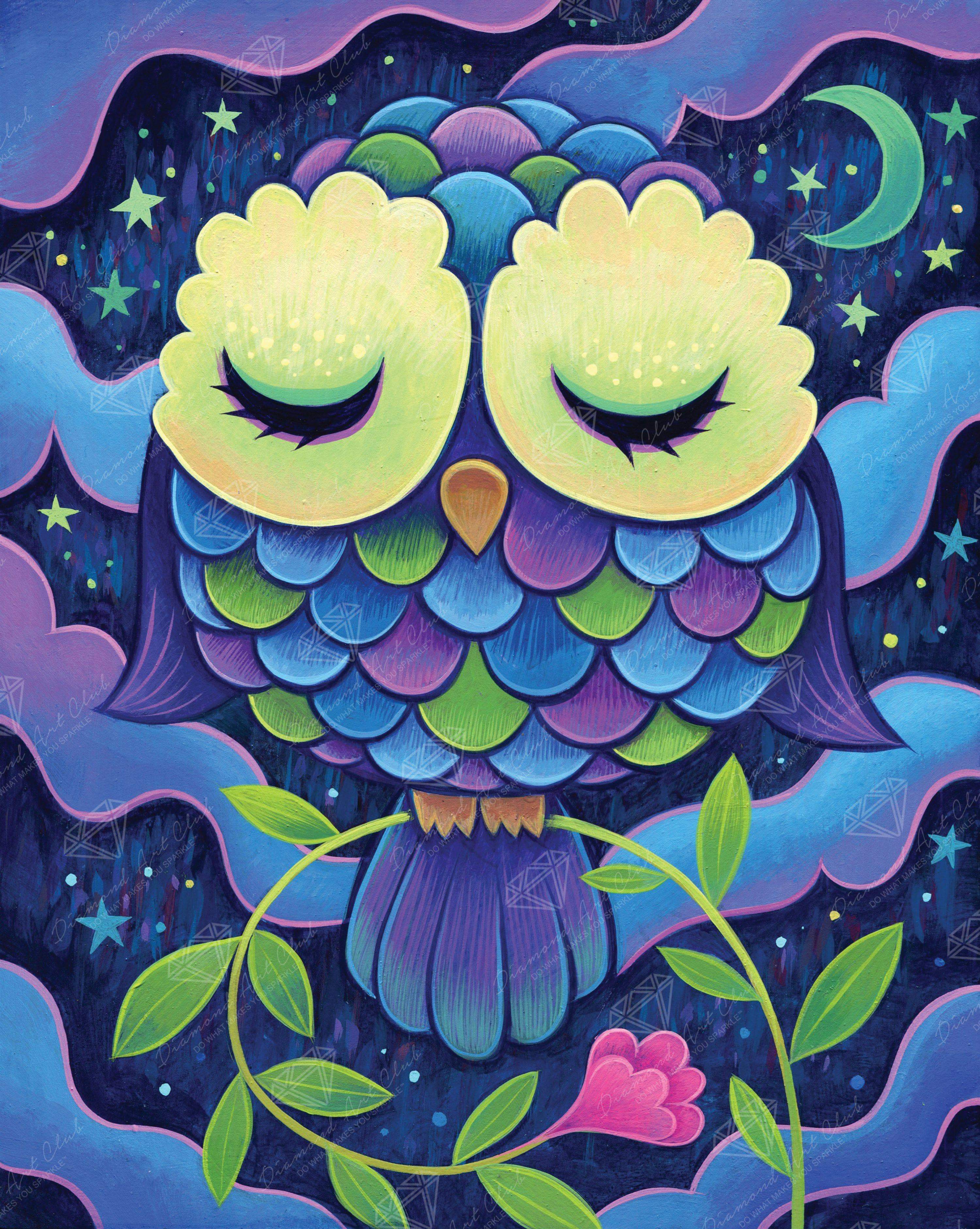 Midnight Owl Diamond Art Club