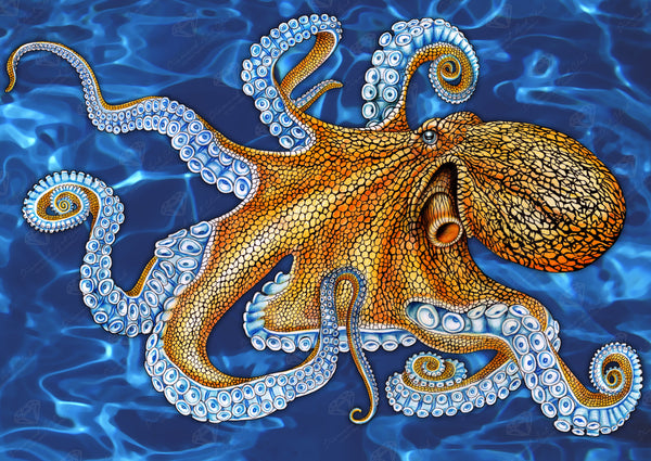 Octopus – Diamond Art Club