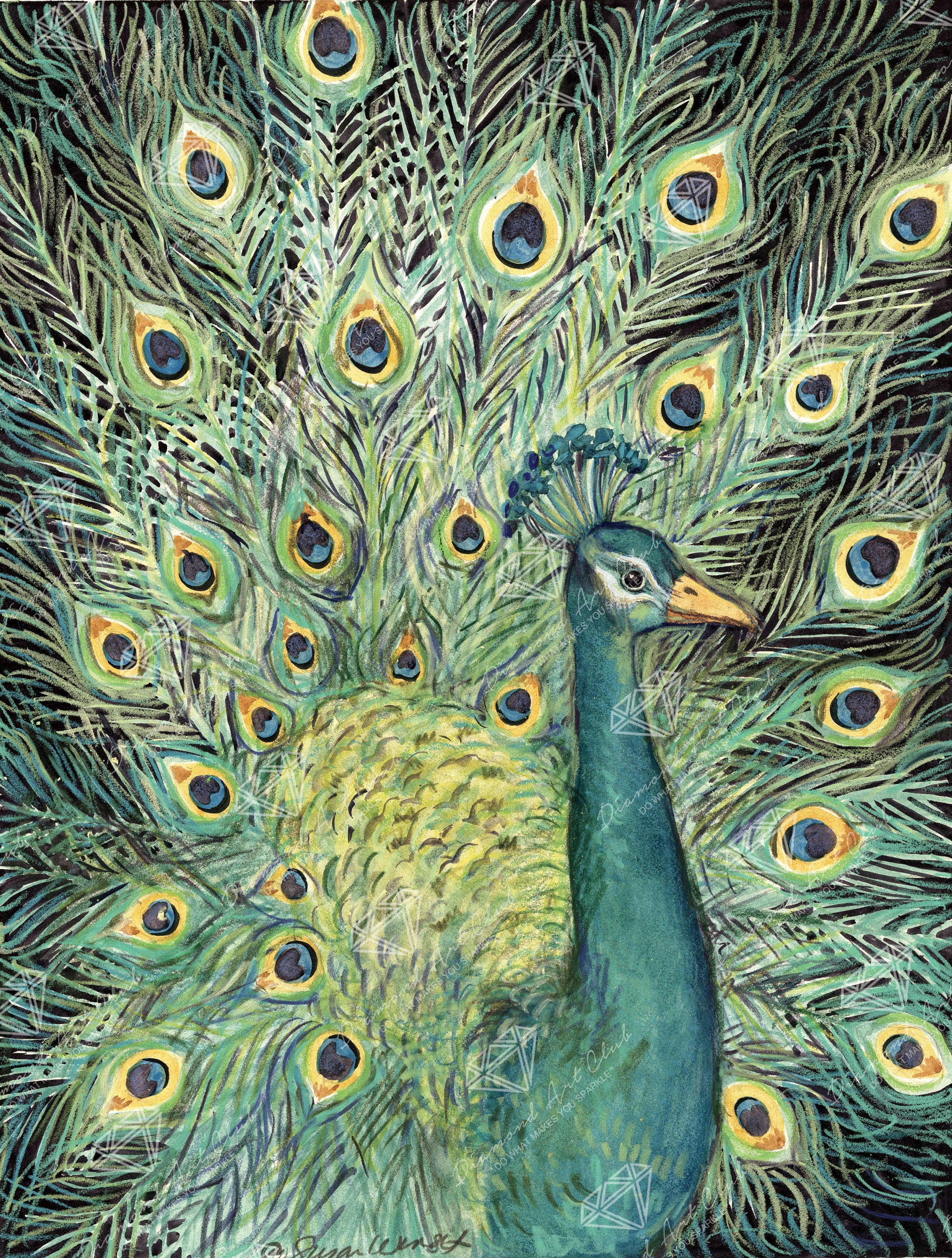 peacock AH1824 5D Diamond Painting -  – Five
