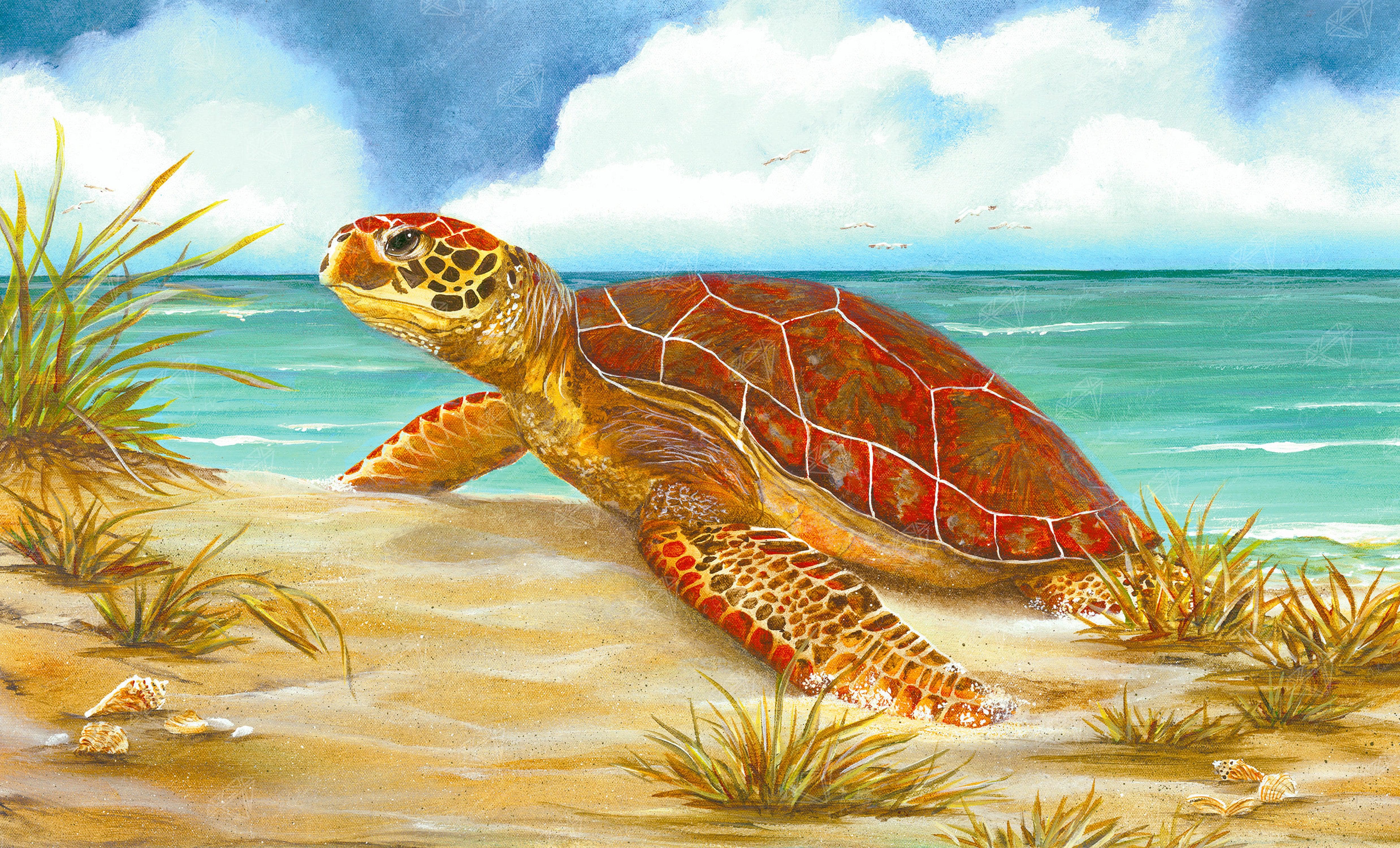 Young Green Sea Turtle – Diamond Art Club