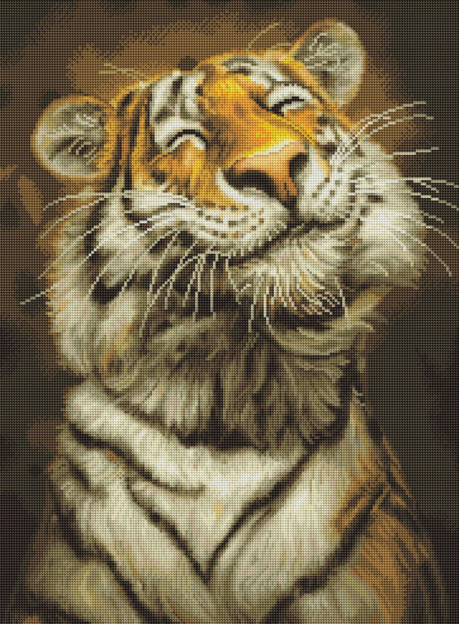 Beautiful White Bengal Tiger Tiger Poster Animal Poster Wildlife Photo  Digital Download -  Canada
