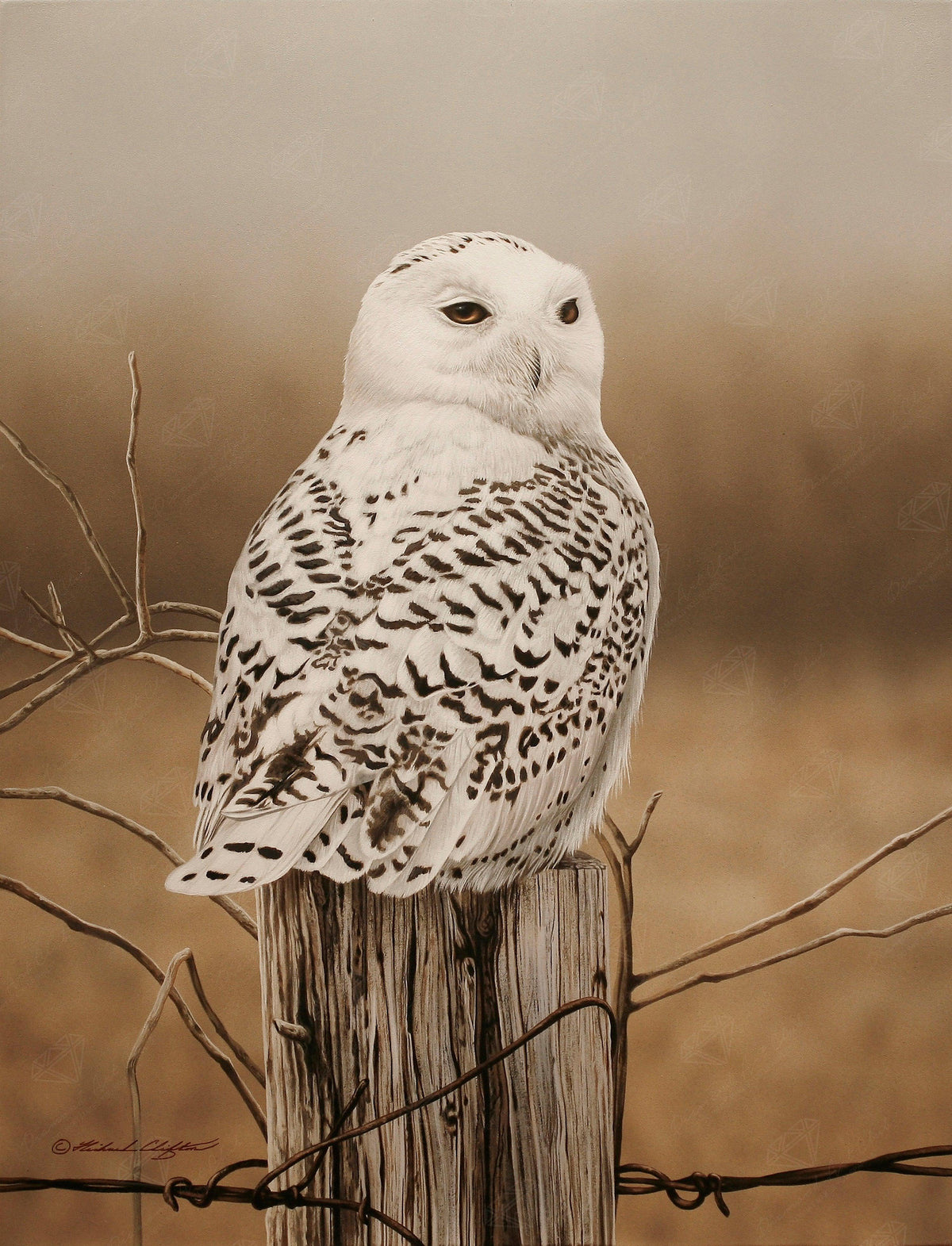 Diamond Painting Snowy Owl 17" x 22" (43cm x 56cm) / Round With 18 Colors Including 2 ABs / 30,248