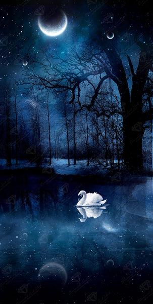 Swan Lake – Diamond Art Club