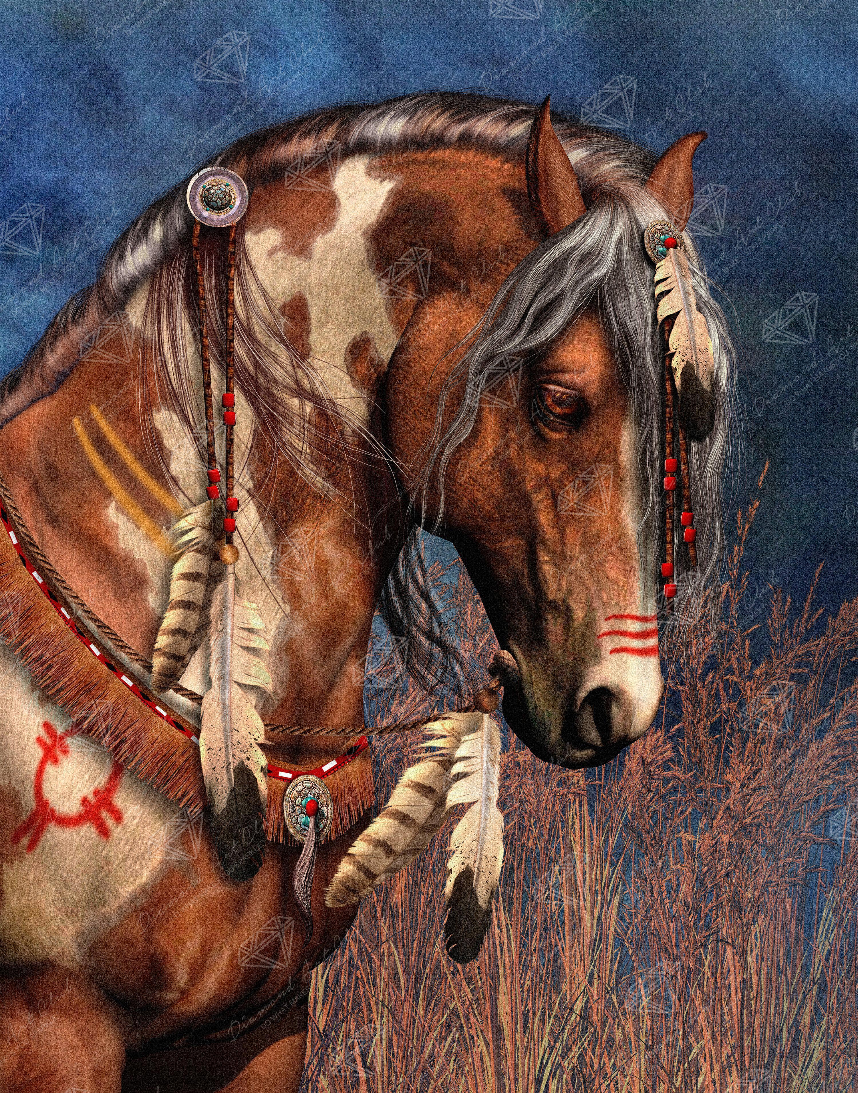 Colorful Native Horse Diamond Painting 